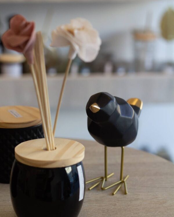 ADORNO PAJARO NEGRO